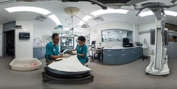 Careers in Conservation at Taronga