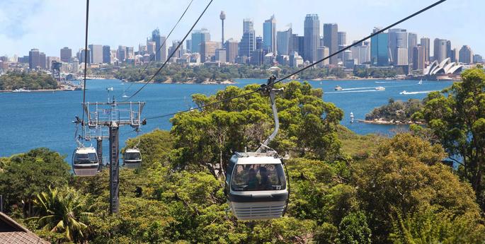 Sky Safari reopening