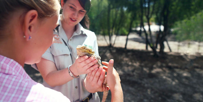 Early Stage 1 - Stage 6: Animal Encounter